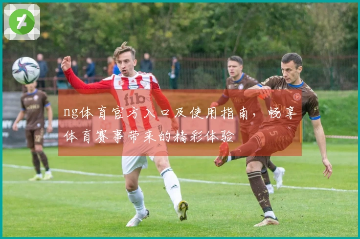 ng体育官方入口及使用指南，畅享体育赛事带来的精彩体验
