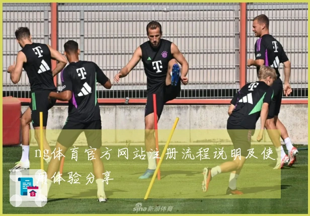 ng体育官方网站注册流程说明及使用体验分享