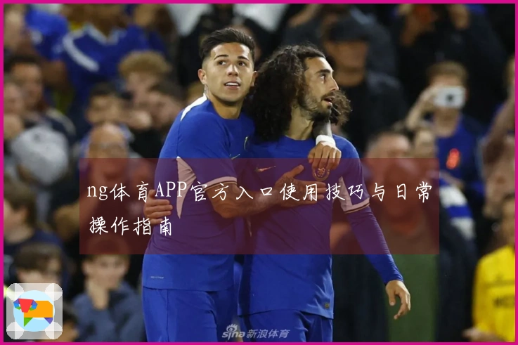 ng体育APP官方入口使用技巧与日常操作指南