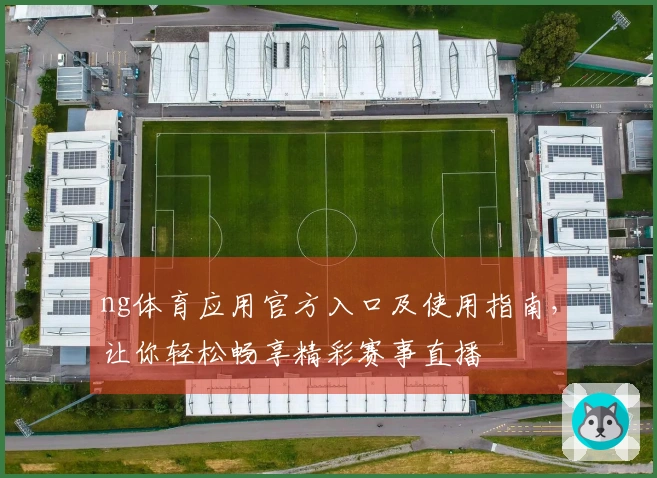 ng体育应用官方入口及使用指南，让你轻松畅享精彩赛事直播