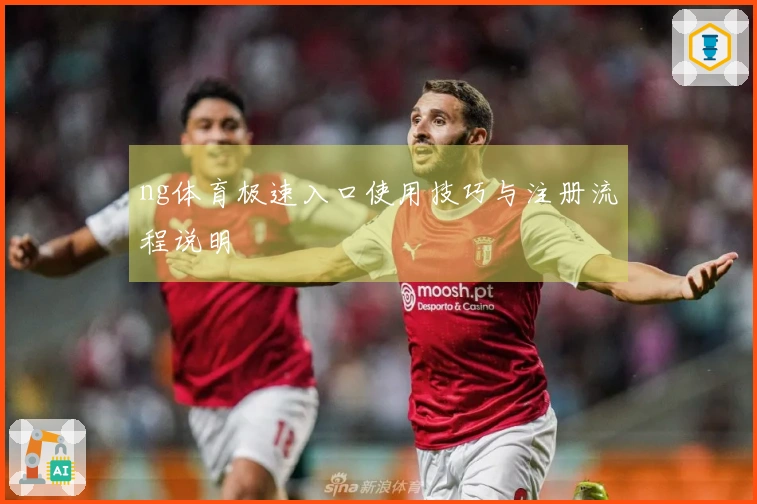 ng体育极速入口使用技巧与注册流程说明