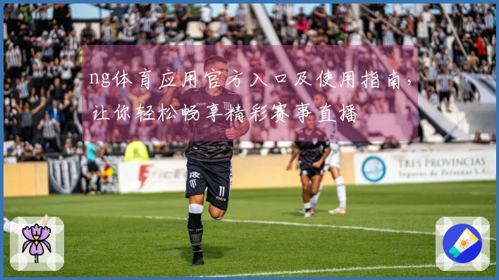 ng体育应用官方入口及使用指南，让你轻松畅享精彩赛事直播