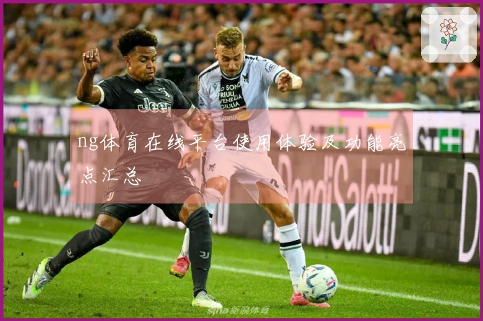 ng体育在线平台使用体验及功能亮点汇总